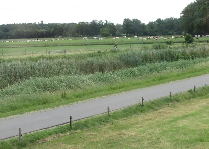 De Steerne, Mooie Plek Aan Het Overijssels Kanaal.